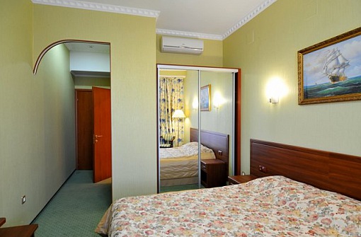 Park Hotel Stavropol - Бизнес-стандарт - В номере
